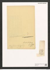 Gomphonema sp. (de-Toni-Nr.: Genus 37) Zeichnungen Sammlung Grunow (NHMW-BOT-W0371124)